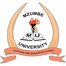 Call for Internship Vacancies (15 Posts) at Mzumbe University