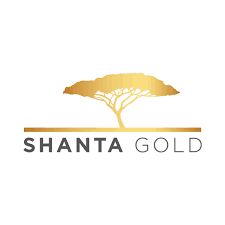 Asset Protection Operations Superintendent at Shanta Gold