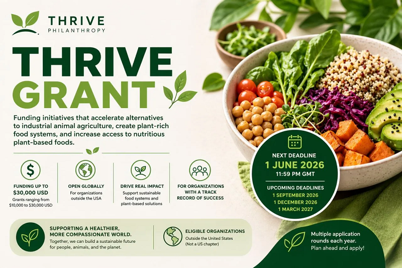 Call for Proposals: Thrive Grant 2026 (up to $30,000)