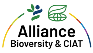 Machine Learning and Operations Consultancy at Alliance Bioversity & CIAT